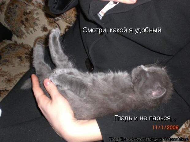 Мысли вслух :)