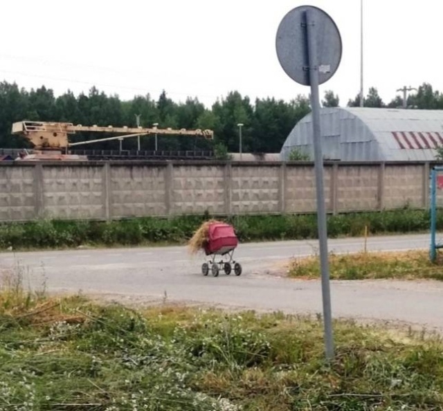 Фото с просторов нашей бескрайней