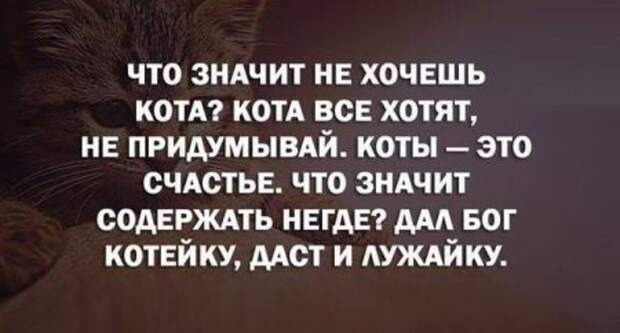 Прикольные картинки, тебе хорошо.