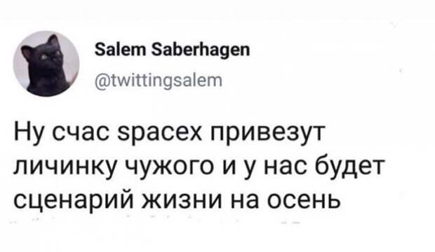 о чем шутят в Сети