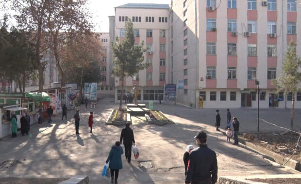 Военкор Дмитрий Стешин обвинил МИД РФ в спонсировании роддомов Таджикистана