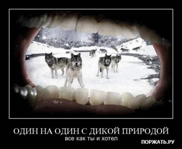 Прикольные демотиваторы, в подборке много новых.
