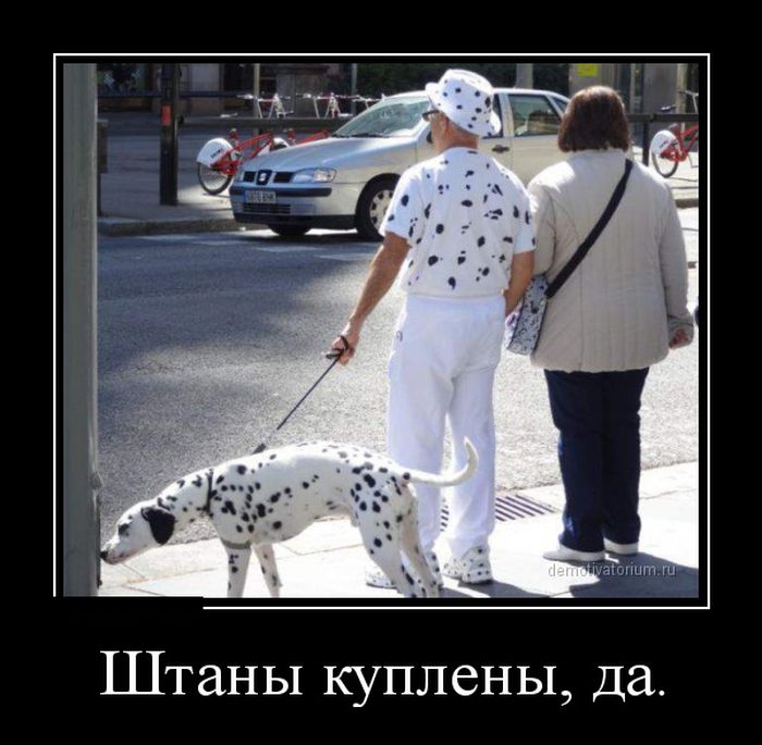 Демотиваторы №1043 (30 фото)