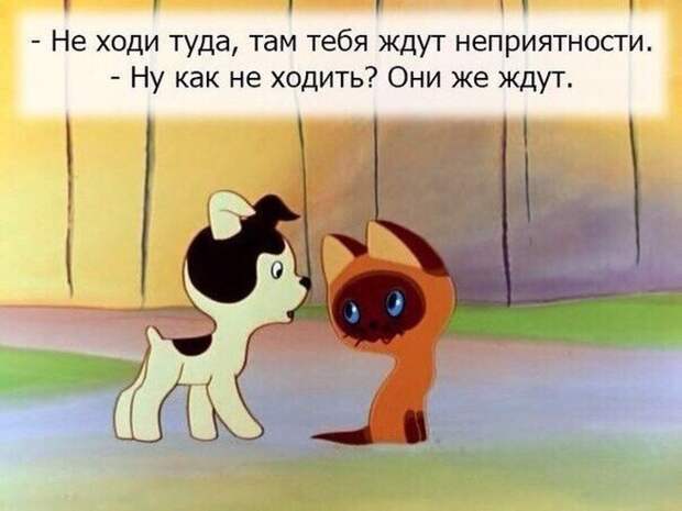ПОДБОРКА ФОТОПРИКОЛОВ № 216