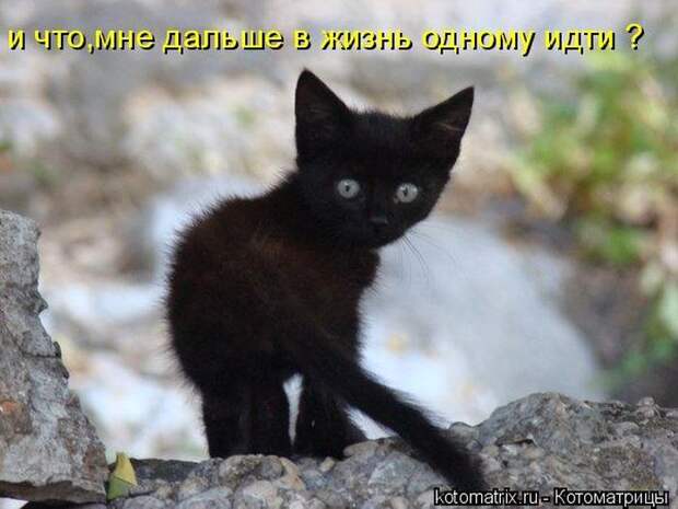Мысли вслух :)