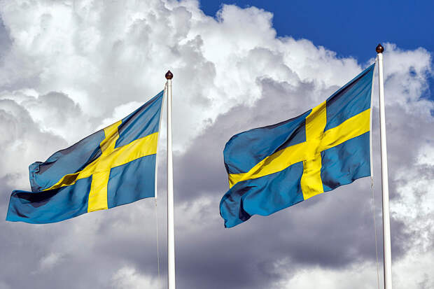 МИД Швеции сообщил о вызове посла РФ из-за инцидента с истребителем на границе