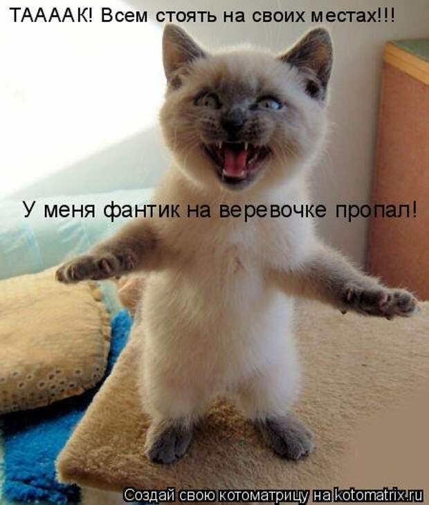 Подборка прикольных котоматриц