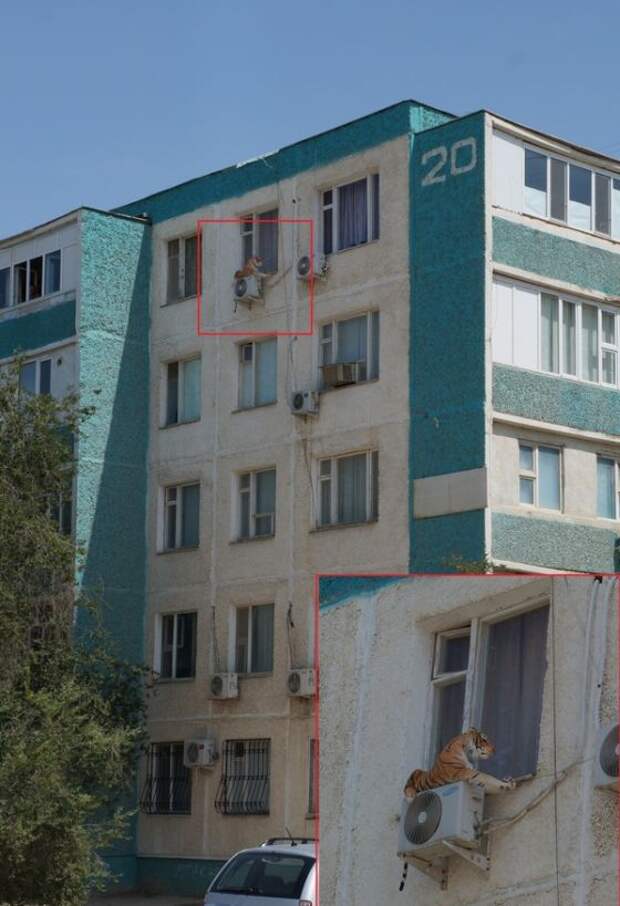 Такое возможно только в России маразмы, россия, юмор