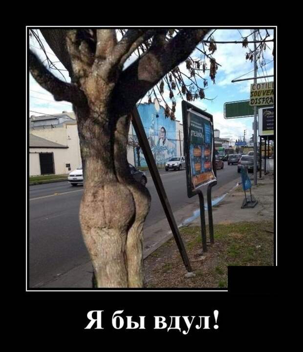 Демотиваторы 18 декабря 2020