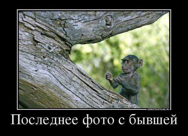 Подборка демотиваторов демотиваторы, юмор