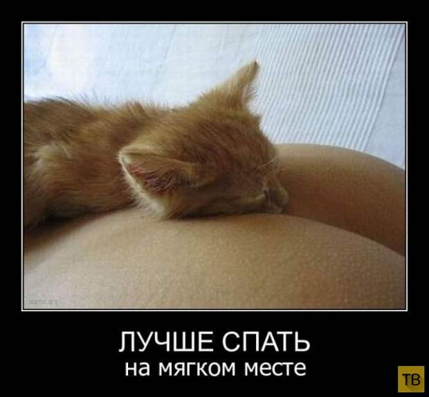 Подборка демотиваторов 12. 09. 2014 (33 фото)
