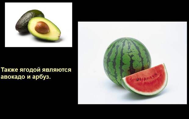 Мир удивителен, господа! Мир удивителен, господа! интересное, мир, невероятное