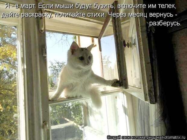 600x720-5e4971fae5cc58269ec977a58767f840_103348 (600x449, 156Kb)