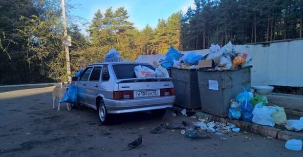 Это сладкое слово &quot;автоместь&quot;. Вот это да!