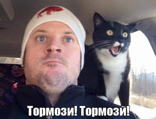 Подборка автоприколов - 25