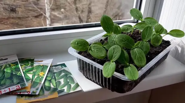 ������� ������ � ����� � ��������� ������ ������ � ���