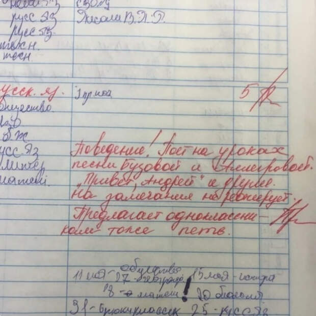 смешная запись в дневнике школьника