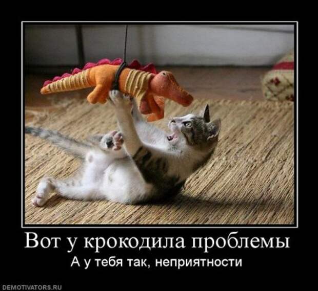 Демотиваторы смешно и прикольно!