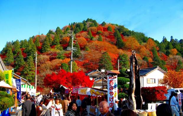 Осень в Японии 2015 2015 осень япония, алая осень японии, дегустация осени в японии, красные клены японии, момидзи, момидзи 2015, момидзи-гари, осень в японии, осень по-японски, осень-японии, тур в японию, японки, японская осень 2015