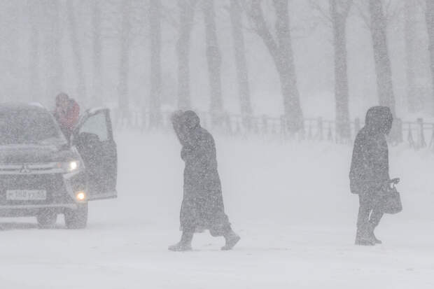 На Сахалине школы восьми городских округов перешли на дистант из-за циклона