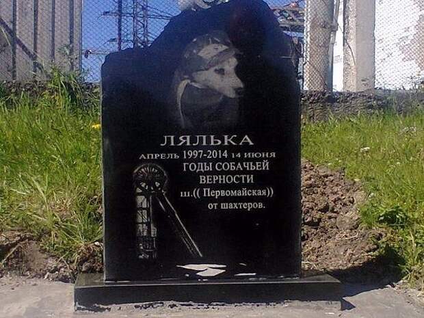ЛЯЛЬКА верность, животные, факты