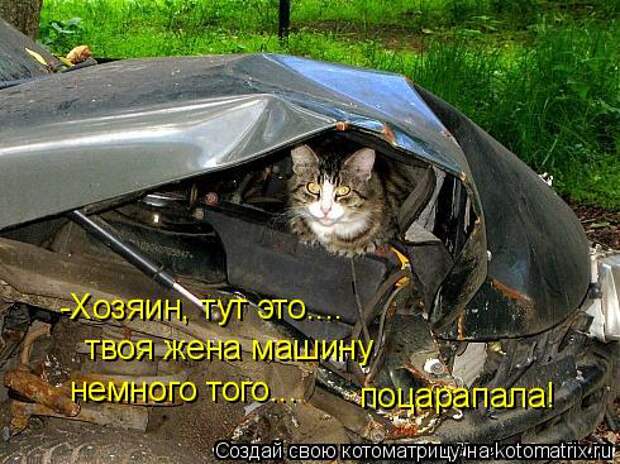 Котоматрица: -Хозяин, тут это.... твоя жена машину немного того... поцарапала!