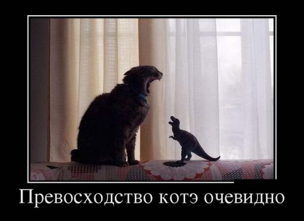 Демотиваторы (30 фото)