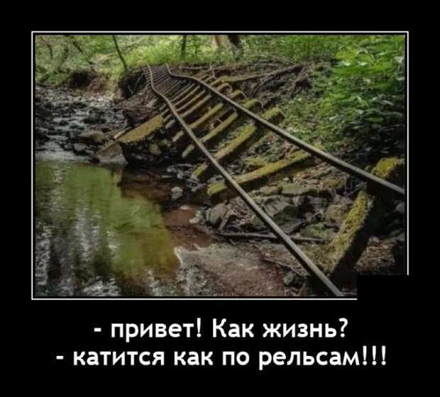 Демотиваторы 28 июля 2021 года