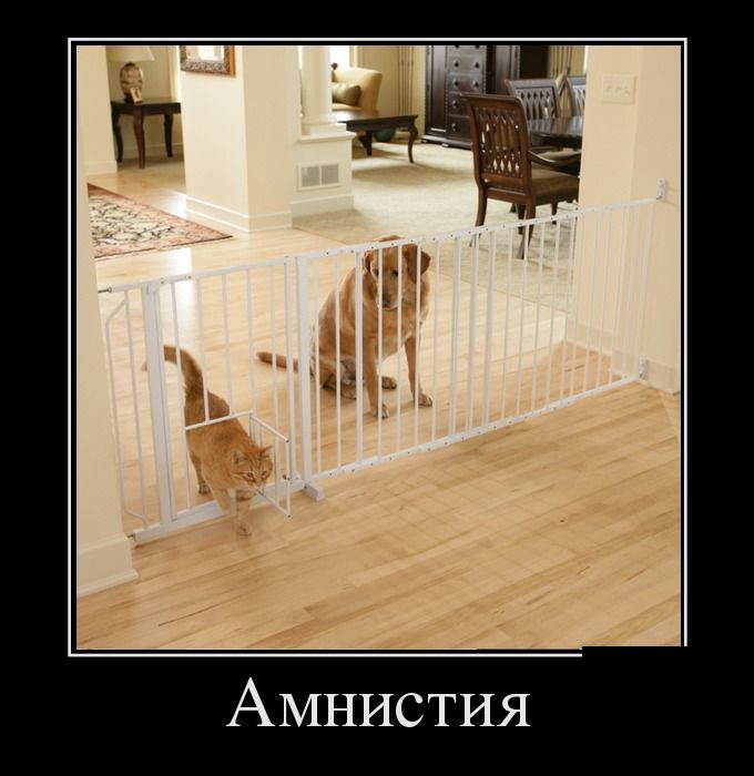 Демотиваторы (30 фото) Демотиваторы (30 фото)