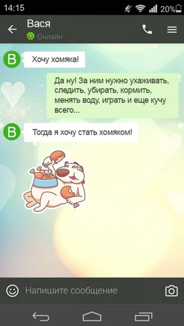 Мужские СМС-ки обо всём на свете (15 шт)
