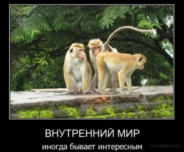 Подборочка смешных демотиваторов.