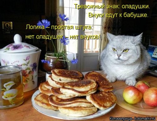 Еженедельная котоматрица (26 фото)