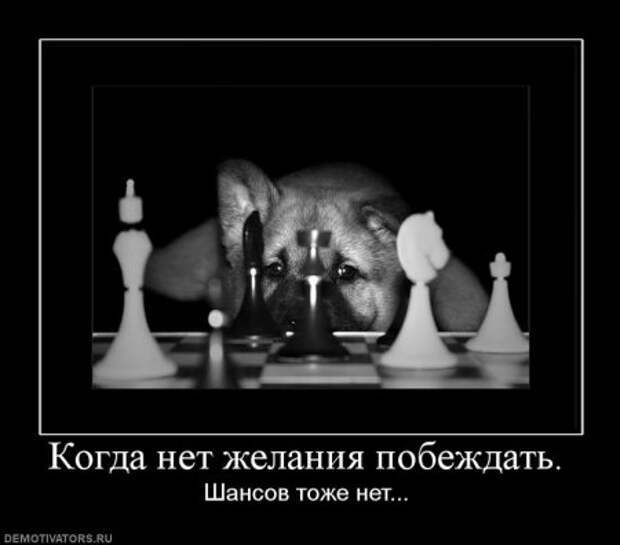 Веселые демотиваторы.
