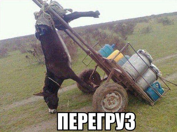 Подборка автоприколов. Часть 227 авто, автоприколы, приколы