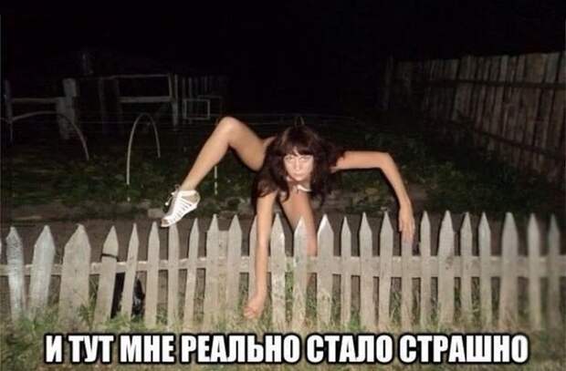 Смешные картинки с подписями  картинки, прикол, юмор