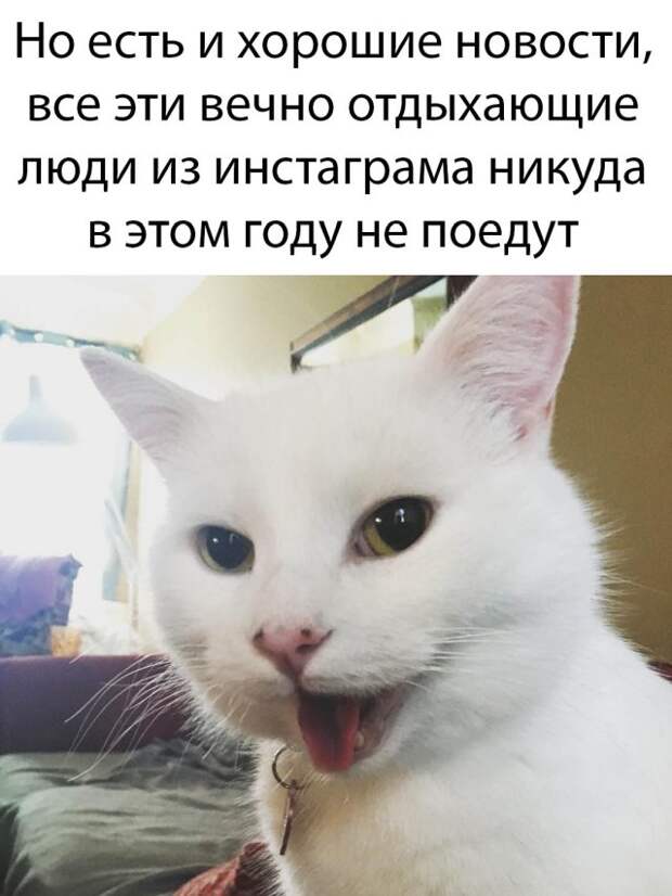 Веселые картинки утро 13 марта