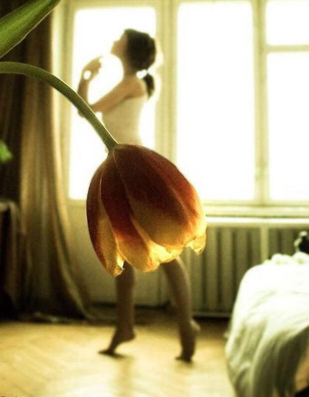 Фотографии без Photoshop (4)