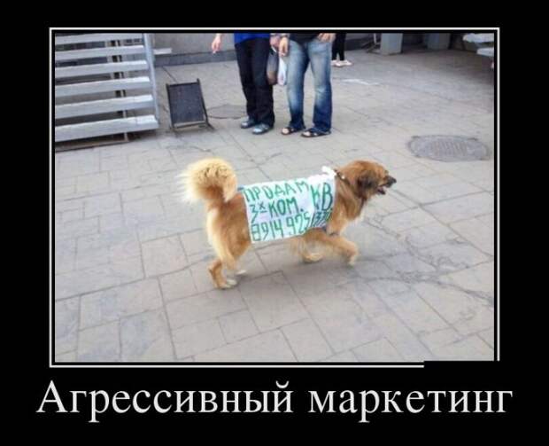 Демотиваторы