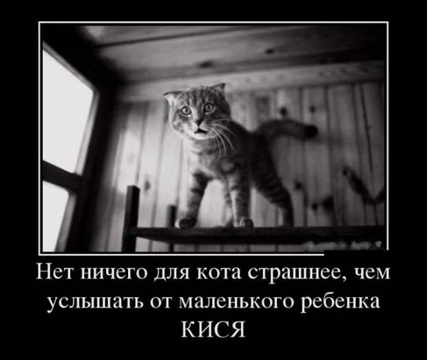 Нет ничего для кота страшнее, чем услышать от маленького ребёнка КИСЯ демотиватор, юмор