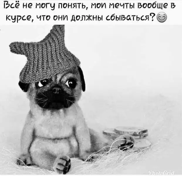 Злая... Не с той ноги встала... Не на ту метлу села... еще и лечу не в ту сторону! Злая... Не с той ноги встала... Не на ту метлу села... еще и лечу не в ту сторону! Вчера, почему, советы, ночью, спрашивает, Откуда, ваннойВызвала, примеру, стакан, водички, попить, почемуто, бутерброд, колбасойСломался, дверьОткрылаСтоит, слесаряЗвонок, очертания, спецухе, чемоданчиком, положено