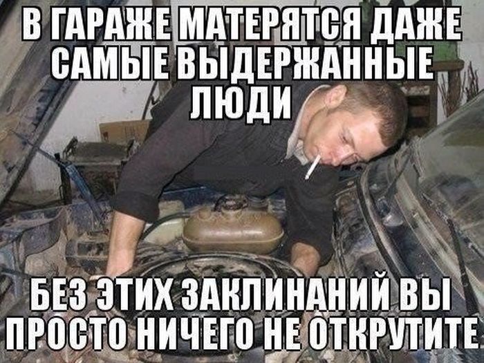Смешные картинки с подписями катинки, прикол, юмор