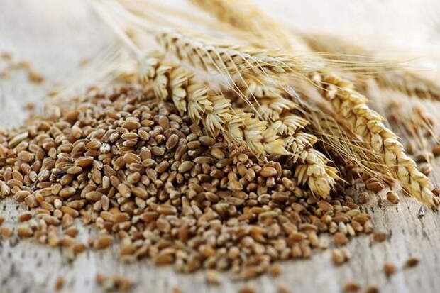 Продукты для хорошего пищеварения