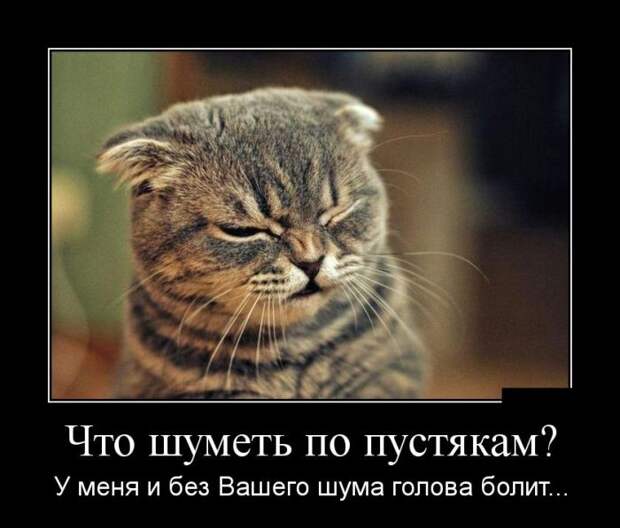 Пятничная подборка демотиваторов демотиватор, юмор