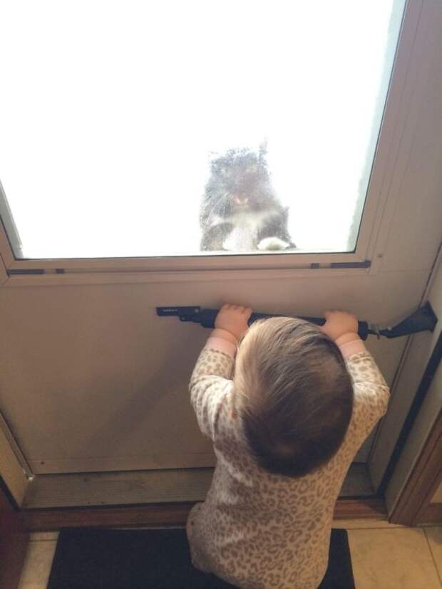 -2 Outside. Here's My Daughter Fucking With My Cat