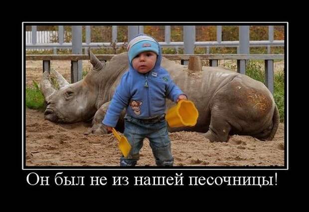 Сборник моих демотиваторов демотиватор, сборник