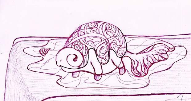 Turtle Without Colors
