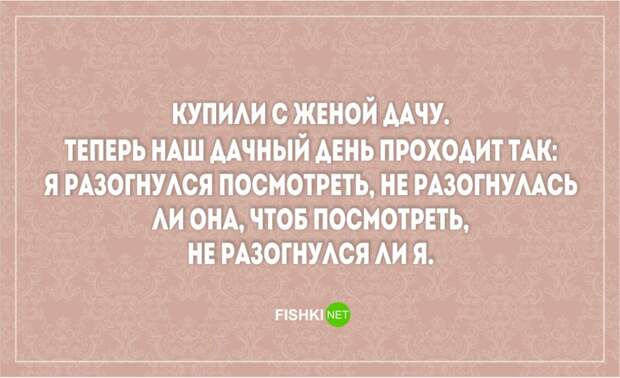 20 открыток о радостях и трудностях семейной жизни жена, муж, открытки, семья