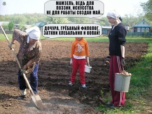 Безумные весёлости с людьми и животными 15