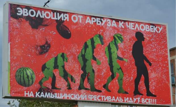 Прикольные надписи и объявления надписи, объявления, юмор