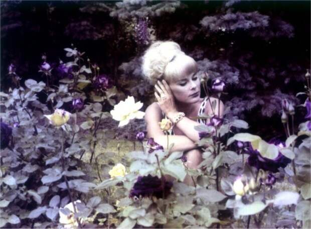 Elke Sommer Elke Sommer